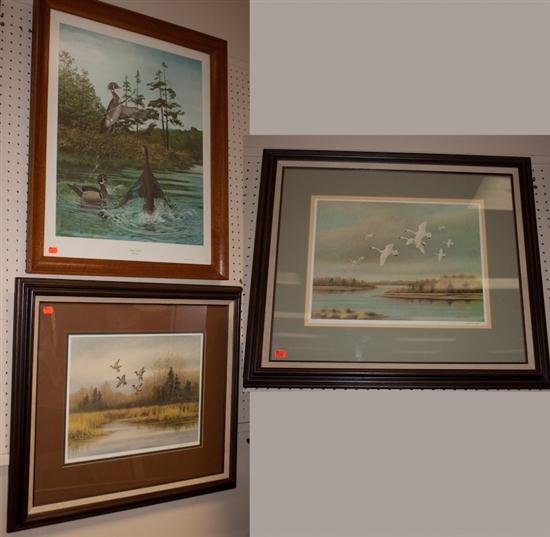 Three framed water fowl lithographs