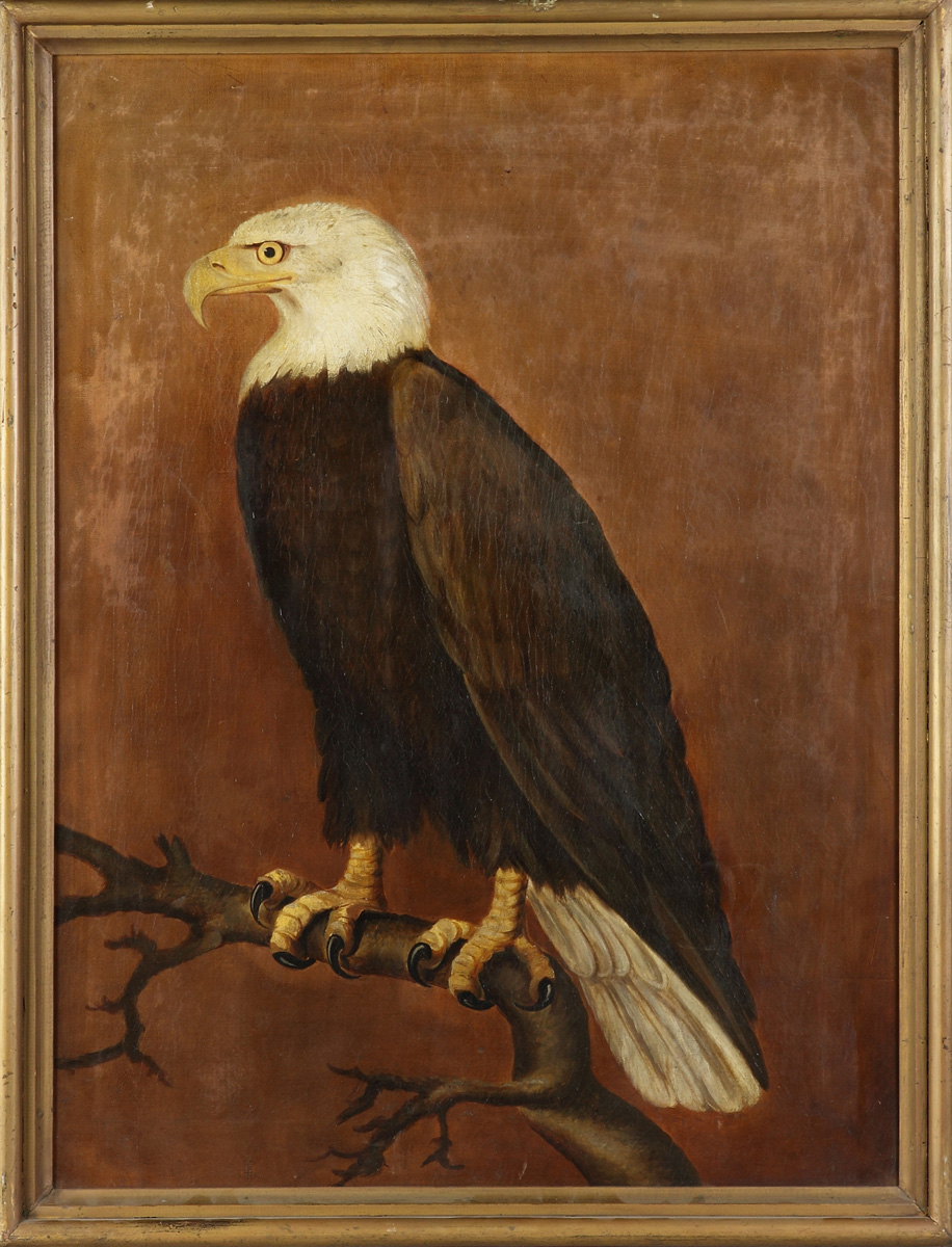 19th cent. O/C of a Perched Eagle
