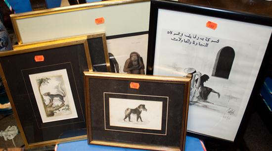 Four framed exotic wildlife prints 139cc1