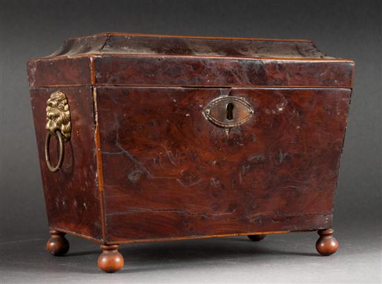 Regency mahogany sarcophagus-form