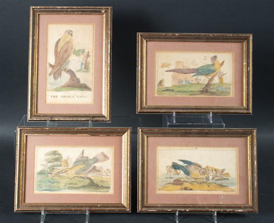 Set of four hand colored ornithological 13a2d3