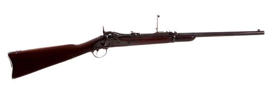 U S Springfield Model 1873 trapdoor 13a5dd