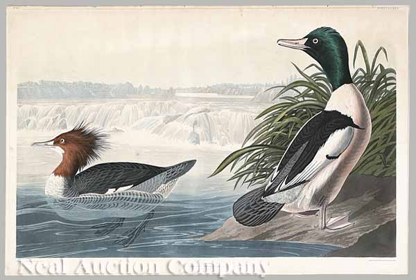 After John James Audubon American 13aeb1