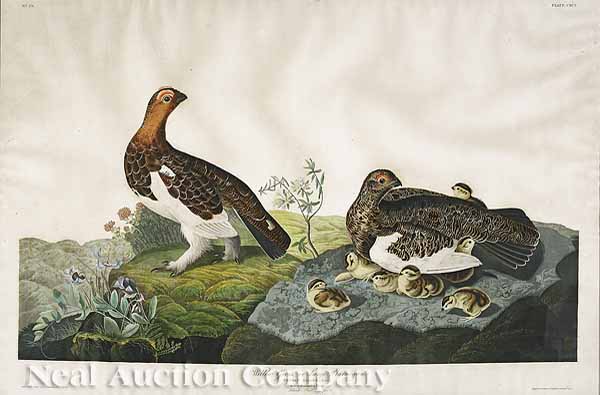 After John James Audubon American 13aeb5