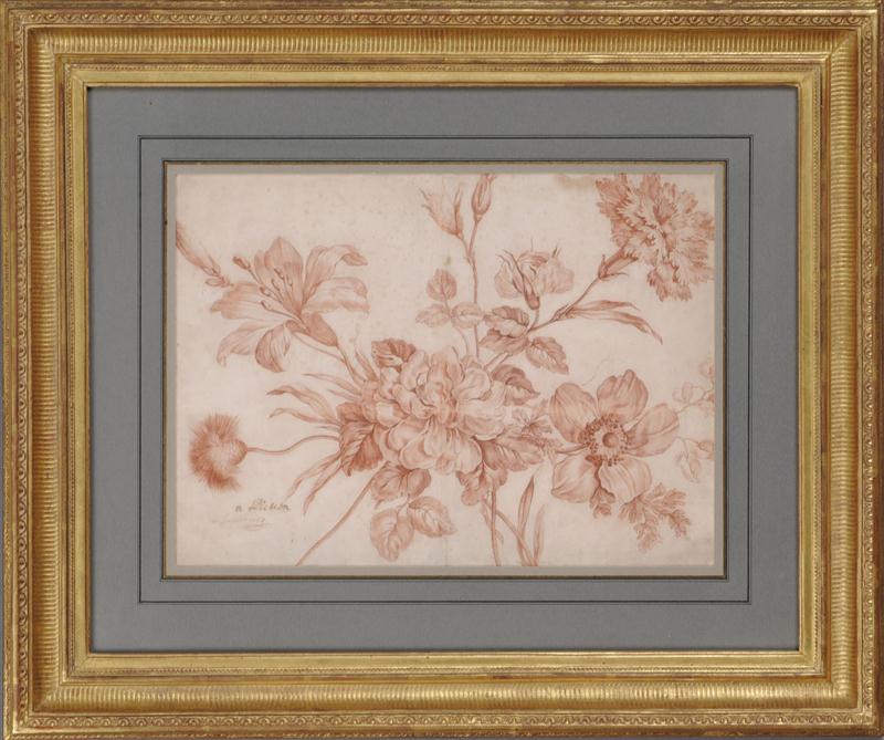 FRENCH SCHOOL: FLORAL STUDY Red chalk