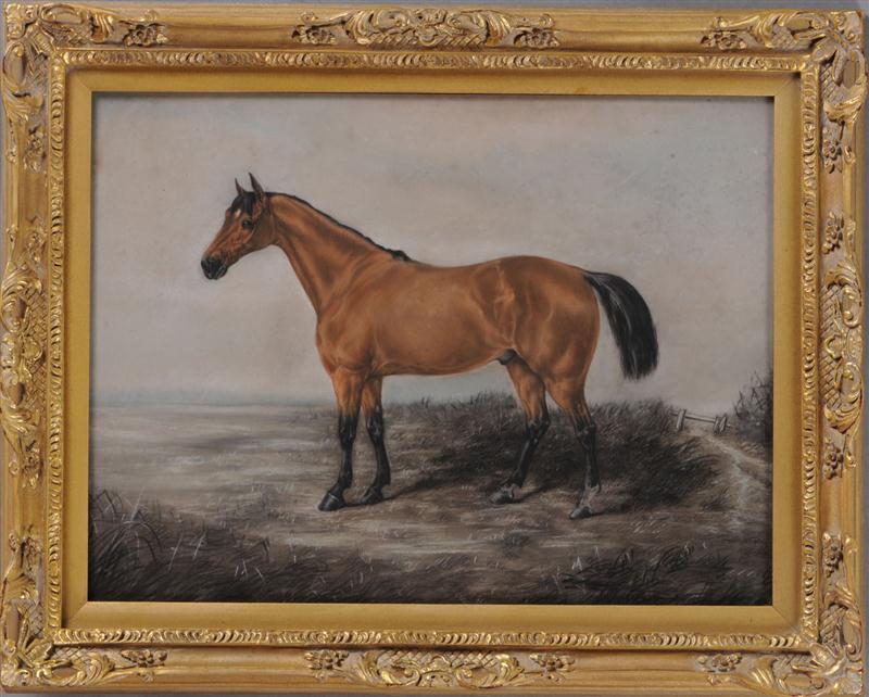 ENGLISH SCHOOL: PORTRAIT OF A HORSE