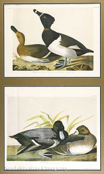 John James Audubon American 1785 1851  13d192