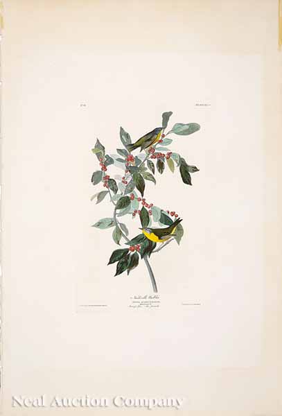 After John James Audubon American 13d5f9