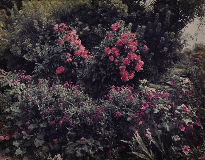 STEPHEN SHORE b 1947 GIVERNY 13b9f7