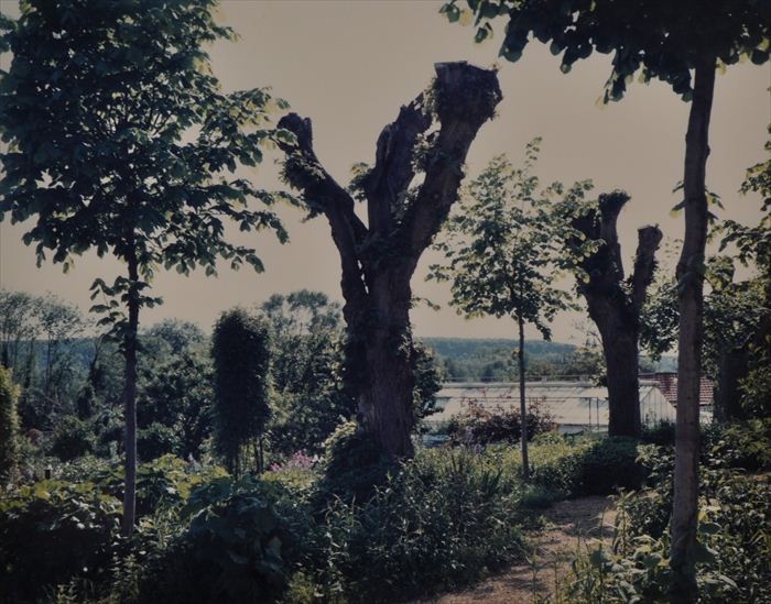 STEPHEN SHORE (b. 1947): GIVERNY