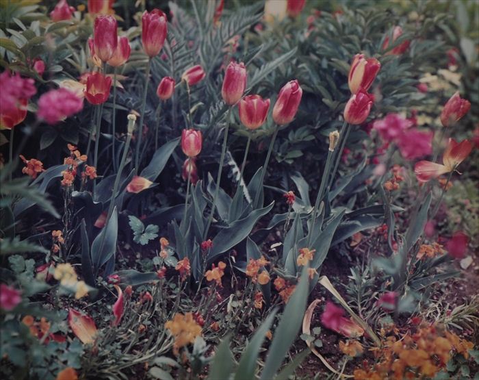 STEPHEN SHORE b 1947 GIVERNY 13ba19