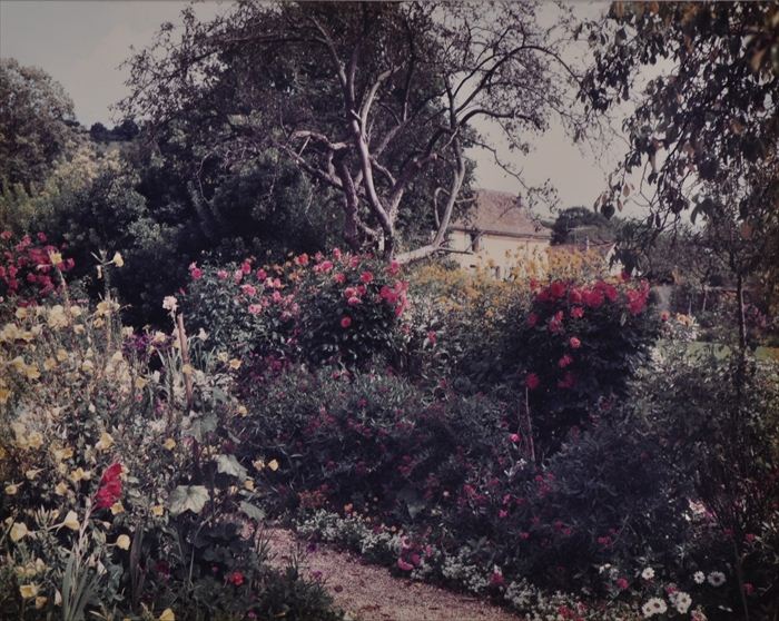 STEPHEN SHORE (b. 1947): GIVERNY 1977