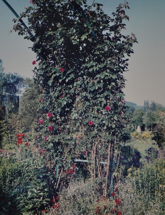 STEPHEN SHORE b 1947 GIVERNY 13ba15