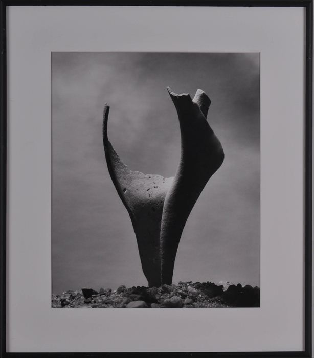 ANDREAS FEININGER (1906-1999): SHELL