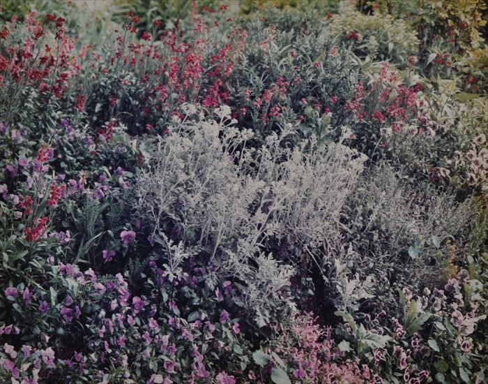 STEPHEN SHORE b 1947 GIVERNY 13baf6