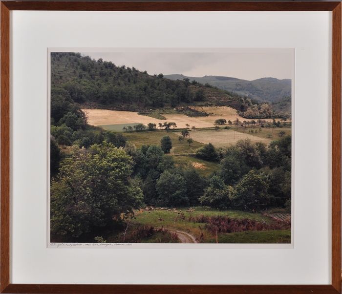 FRANK GOHLKE (b. 1942): HILLS AND FIELDS