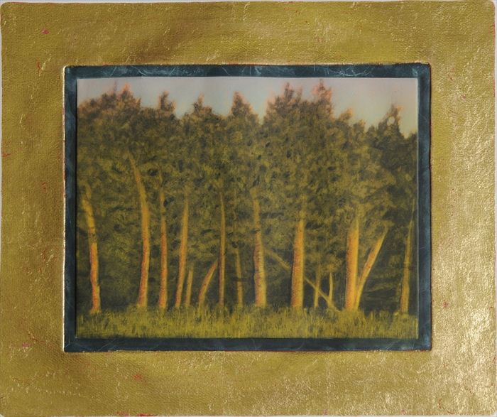 JOHN BEERMAN b 1958 PINE TREES 13be30