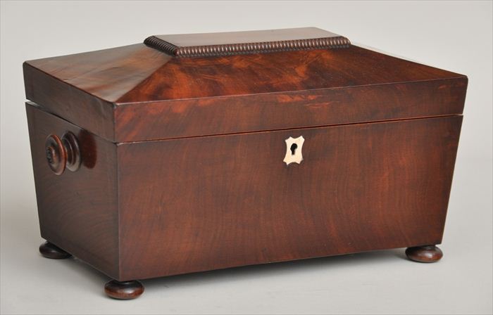 REGENCY MAHOGANY SARCOPHAGUS FORM 13ec04