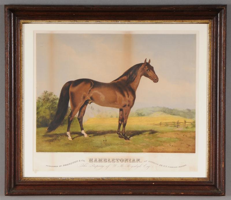 COLORED PRINT OF THE RACE HORSE