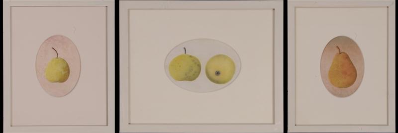 AMERICAN SCHOOL: STILL LIFES OF APPLES