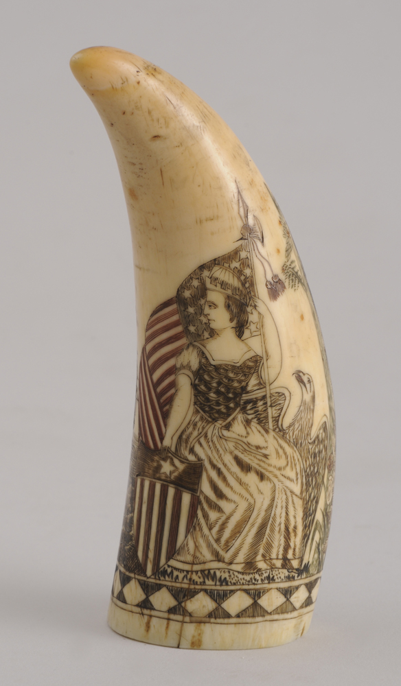 AMERICAN SCRIMSHAW CARVED WHALE S 13f591