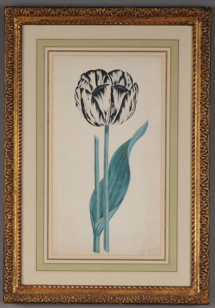 DUTCH SCHOOL (18TH/19TH C.): TULIPS