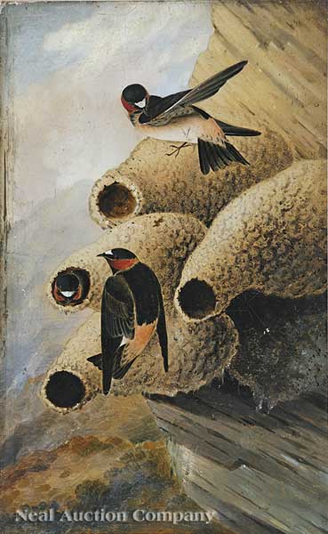 Mark F. Zinck "Cliff Swallows"