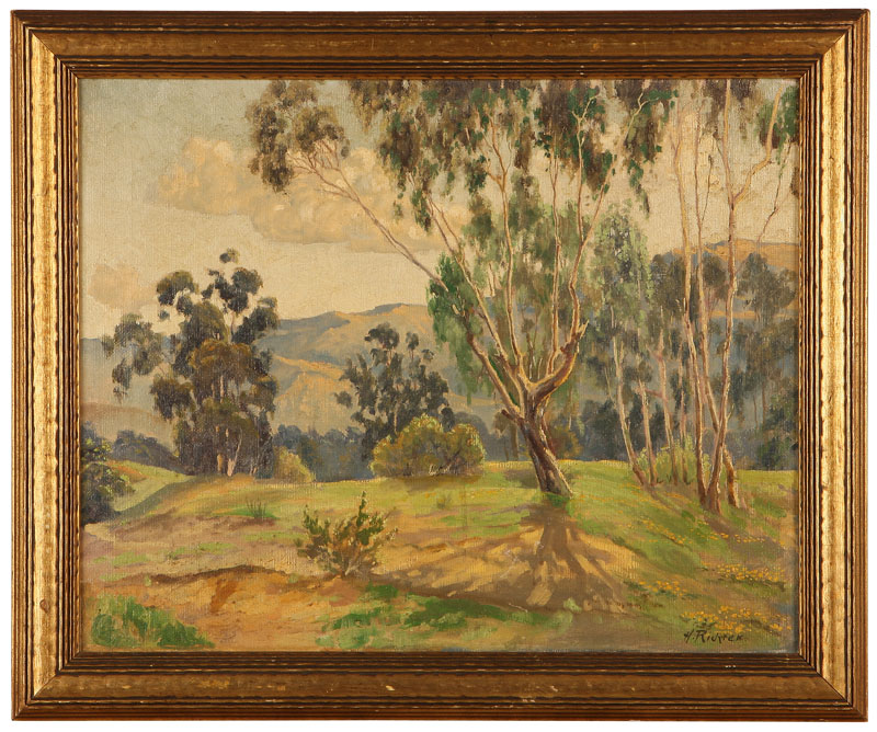 Eucalyptus Trees in a California Landscape
