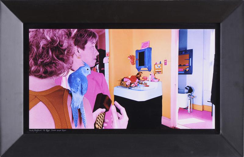 SANDY SKOGLUND AMERICAN b 1946  13dd38