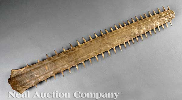 A Decorative Trophy Swordfish Rostrum 141b9c