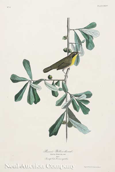 John James Audubon American 1785 1851  14013c