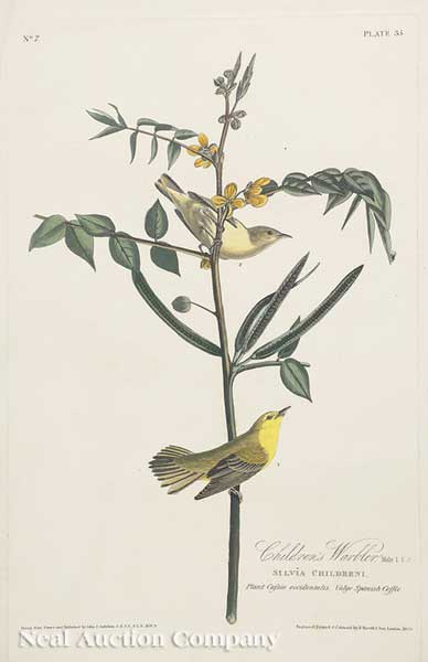 John James Audubon American 1785 1851  14013f