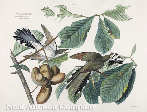 John James Audubon American 1785 1851  140138