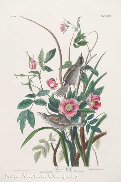 John James Audubon American 1785 1851  140145