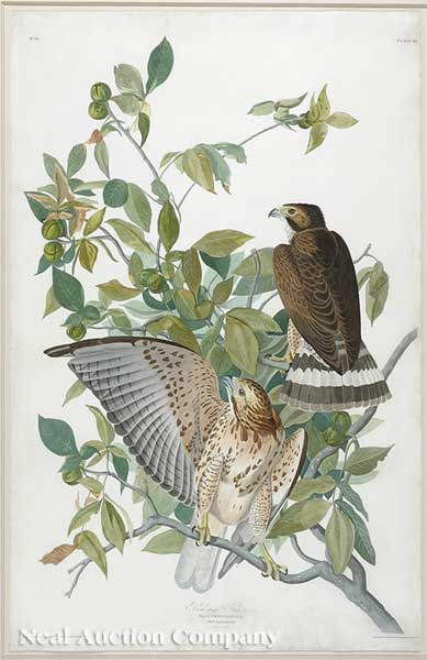 John James Audubon American 1785 1851  140143