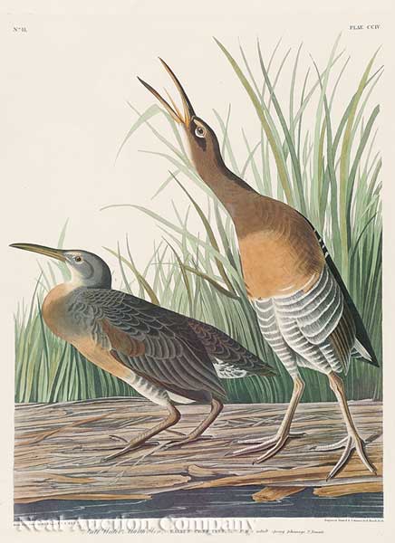 John James Audubon American 1785 1851  140151