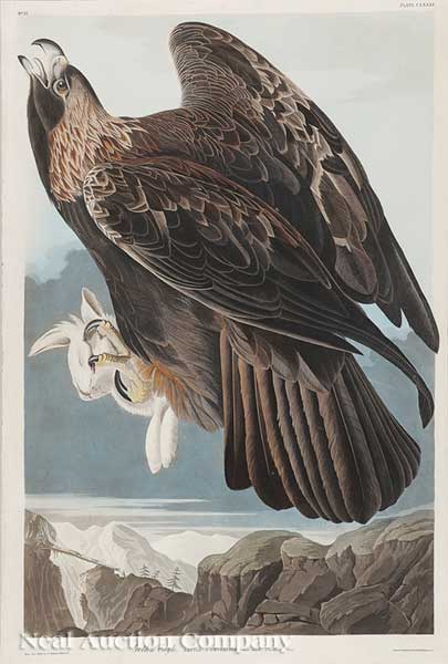 John James Audubon American 1785 1851  14014b