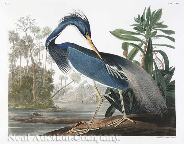 John James Audubon American 1785 1851  140155