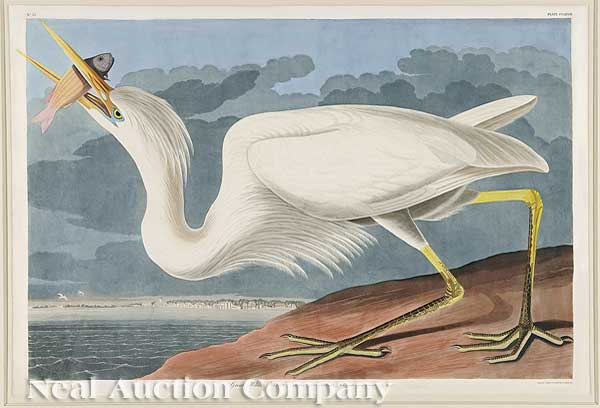 John James Audubon American 1785 1851  140163