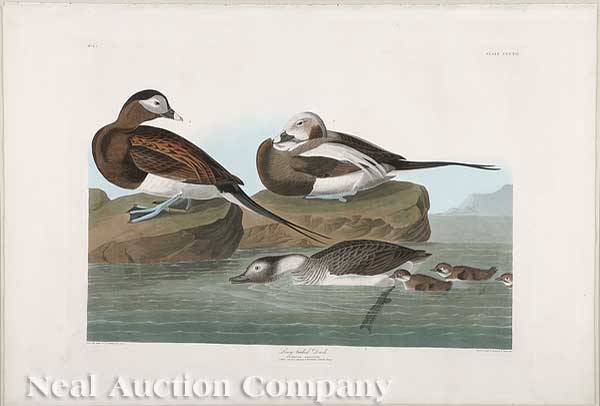 John James Audubon American 1785 1851  140167
