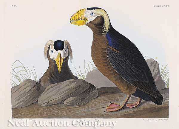 John James Audubon American 1785 1851  14015e