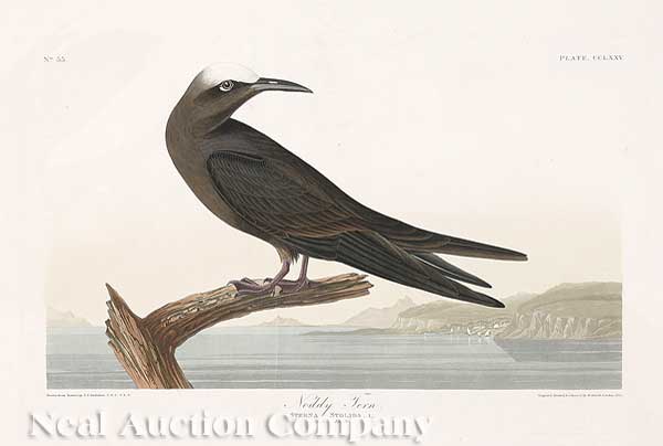 John James Audubon American 1785 1851  140161