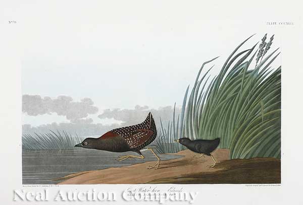 John James Audubon American 1785 1851  14016e