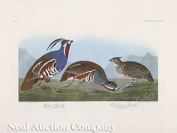 John James Audubon American 1785 1851  140176