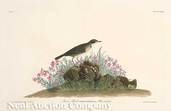 John James Audubon American 1785 1851  140737