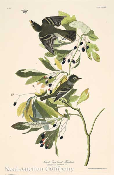 John James Audubon (American 1785-1851)