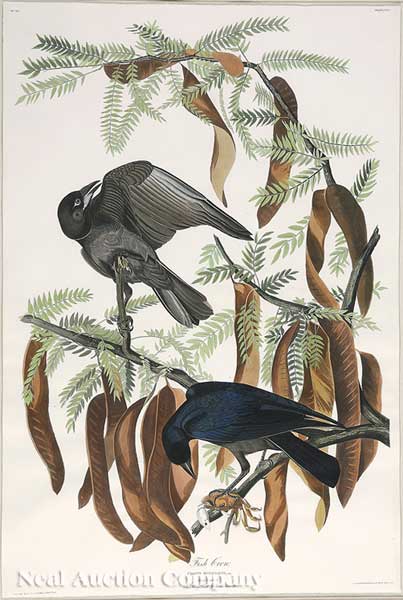 John James Audubon American 1785 1851  140740