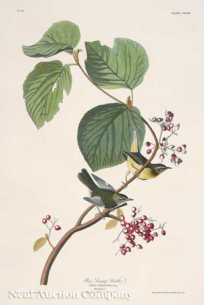 John James Audubon (American 1785-1851)