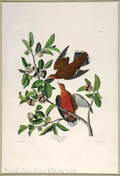 John James Audubon American 1785 1851  140743