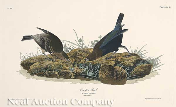 John James Audubon American 1785 1851  14073a